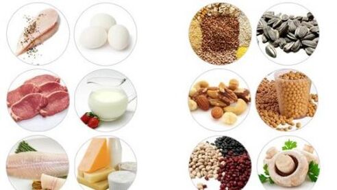 Foods high in animal and plant proteins for male potency